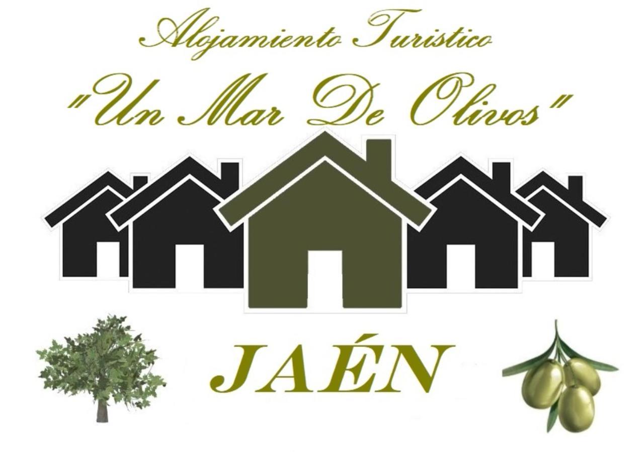Turistico Un Mar De Olivos * Jaen